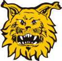 Ilves