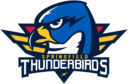 Springfield Thunderbirds