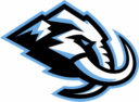 The Utah Mammoth are a professional ice hockey team based in Salt Lake City