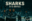 San Jose Sharks celebration at SAP Center